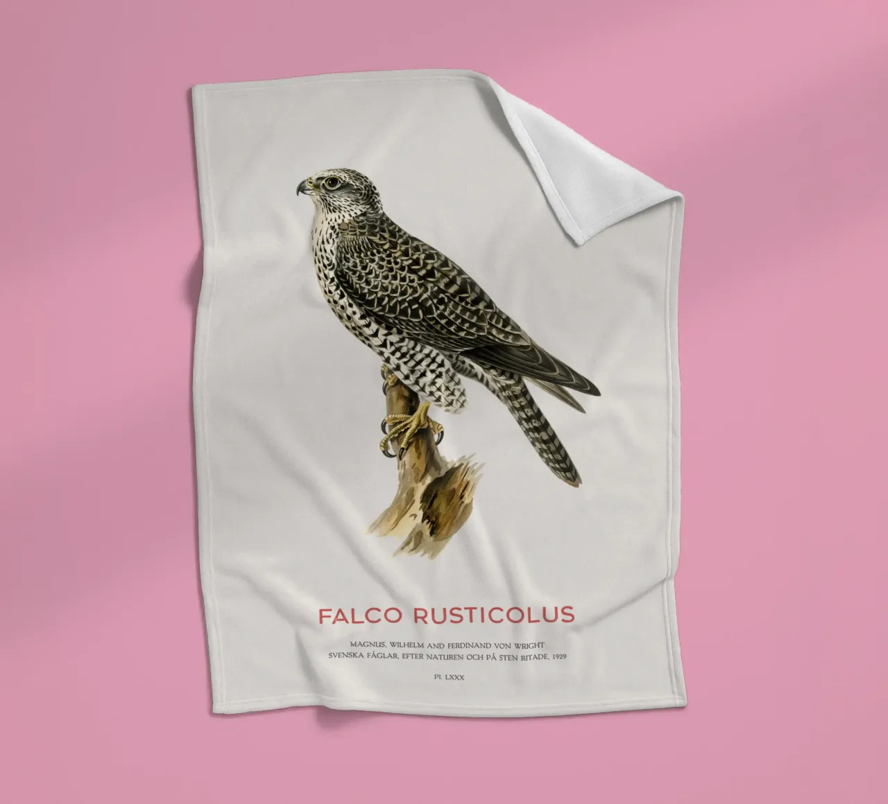 Gyrfalcon or Falco rusticolus coperta in pile da Vintagrafica