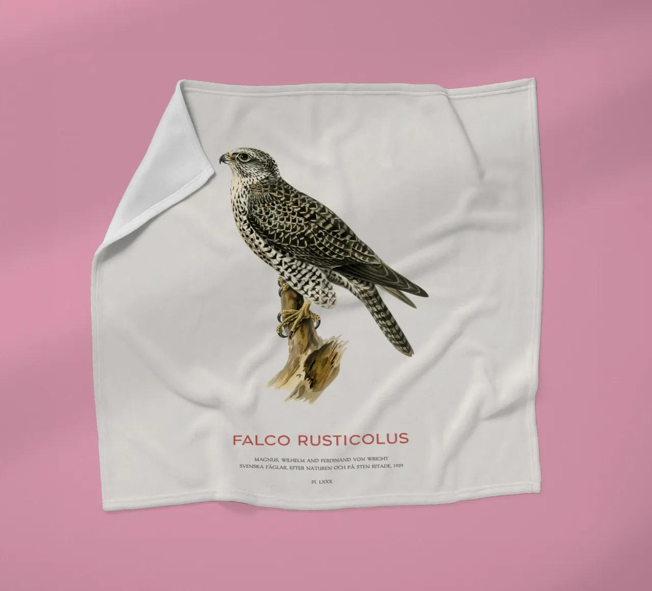 Gyrfalcon or Falco rusticolus coperta in pile da Vintagrafica