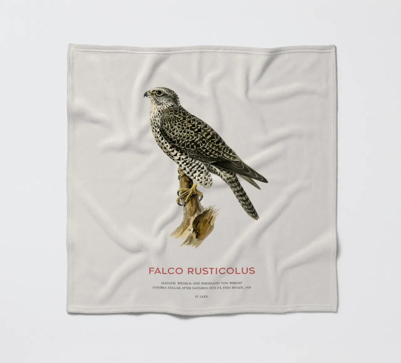 Gyrfalcon or Falco rusticolus coperta in pile da Vintagrafica