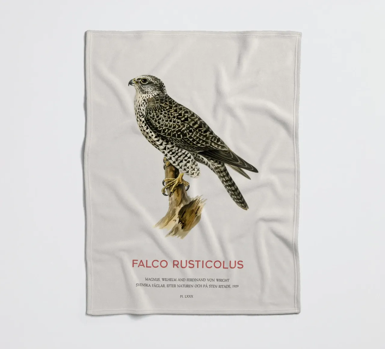Gyrfalcon or Falco rusticolus coperta in pile da Vintagrafica