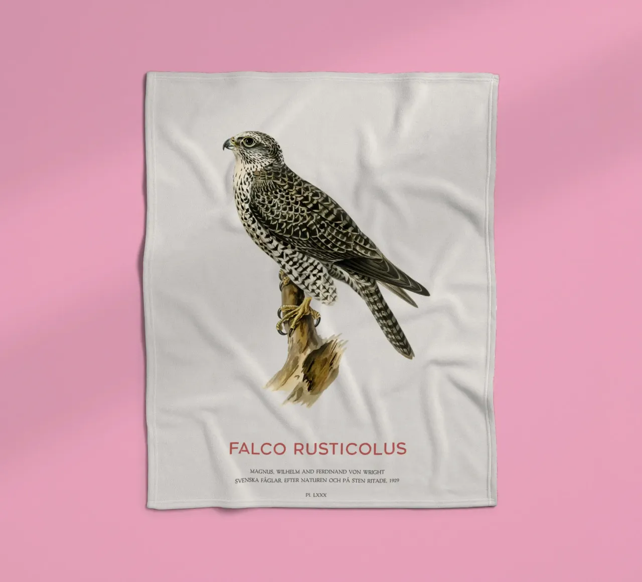 Gyrfalcon or Falco rusticolus coperta in pile da Vintagrafica