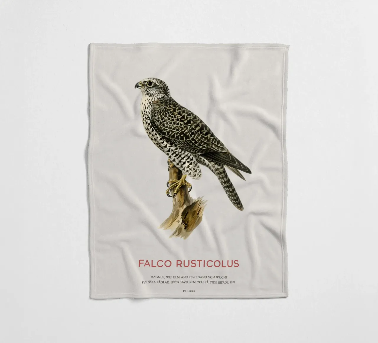 Gyrfalcon or Falco rusticolus coperta in pile da Vintagrafica