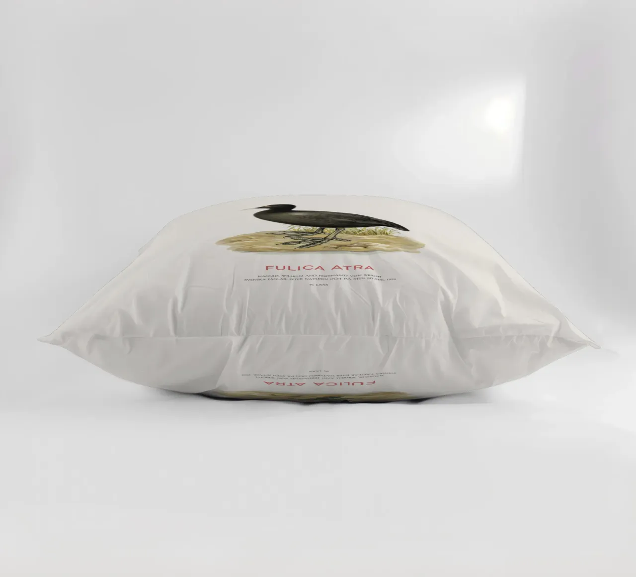 Eurasian coot or Fulica atra decorative cushion by Vintagrafica