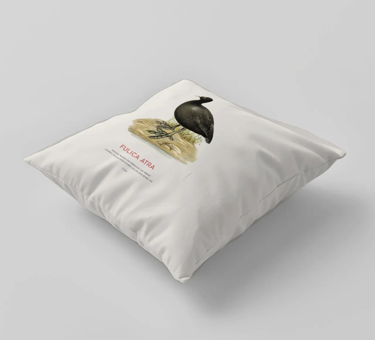 Eurasian coot or Fulica atra decorative cushion by Vintagrafica