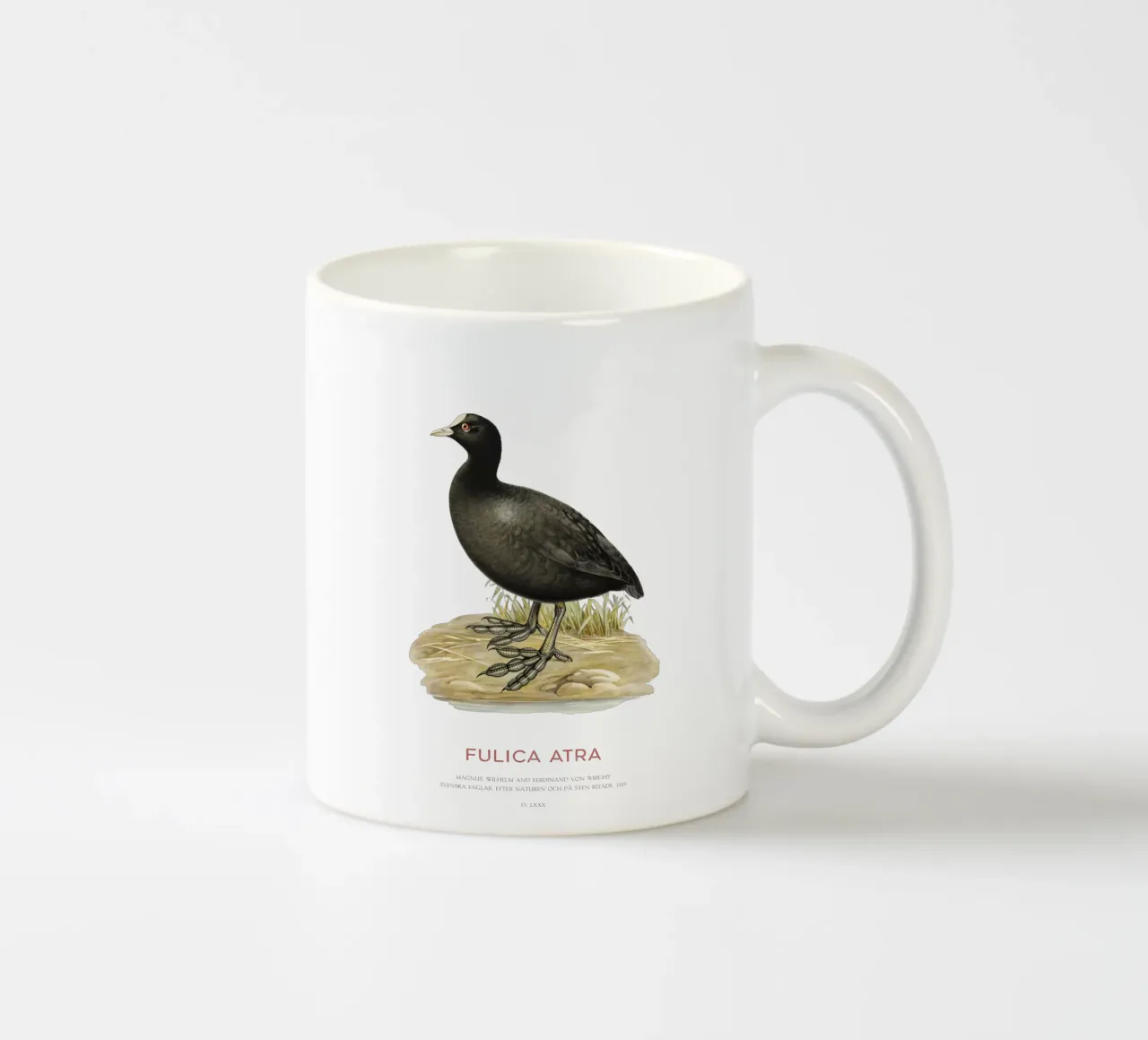 Blässhuhn oder Fulica atra Keramik Tasse von Vintagrafica
