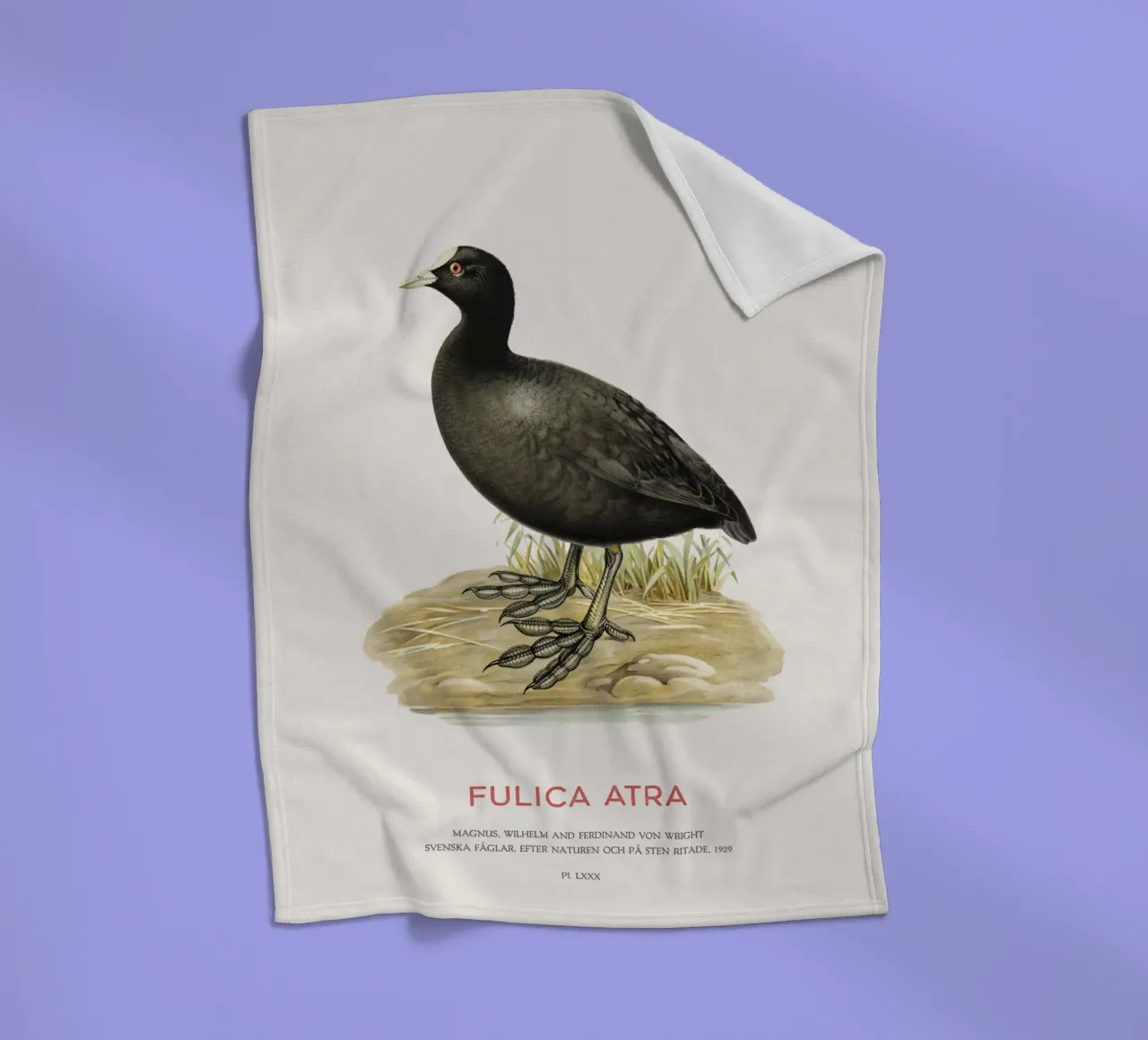 Blässhuhn oder Fulica atra Fleecedecke von Vintagrafica