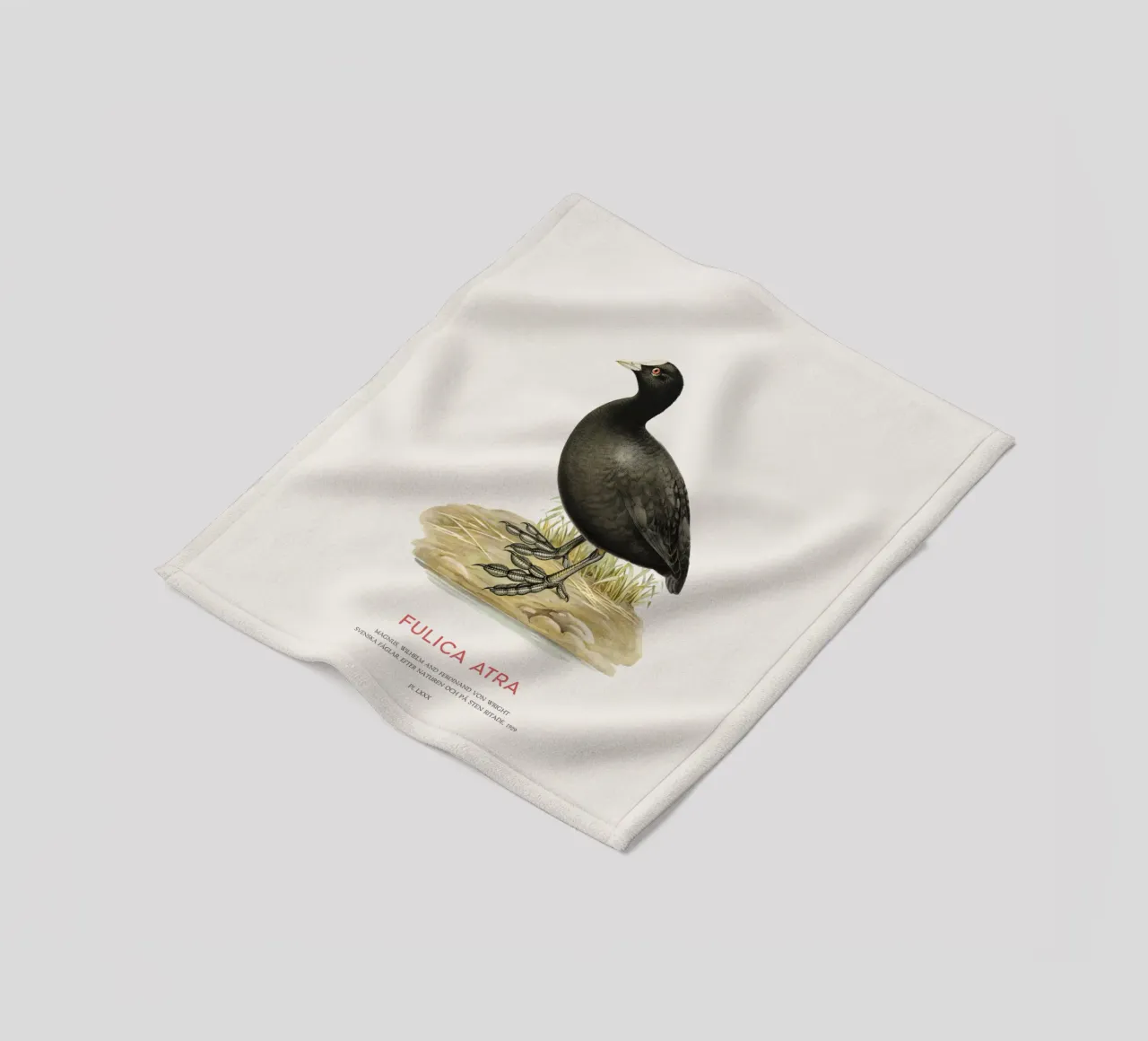 Blässhuhn oder Fulica atra Fleecedecke von Vintagrafica