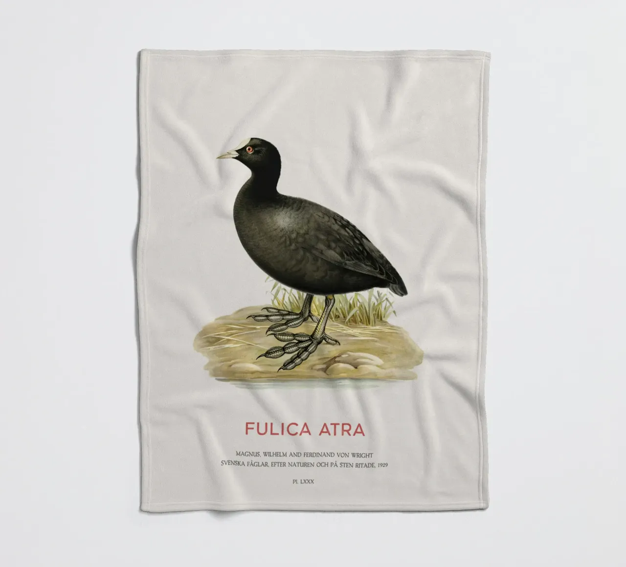 Blässhuhn oder Fulica atra Fleecedecke von Vintagrafica
