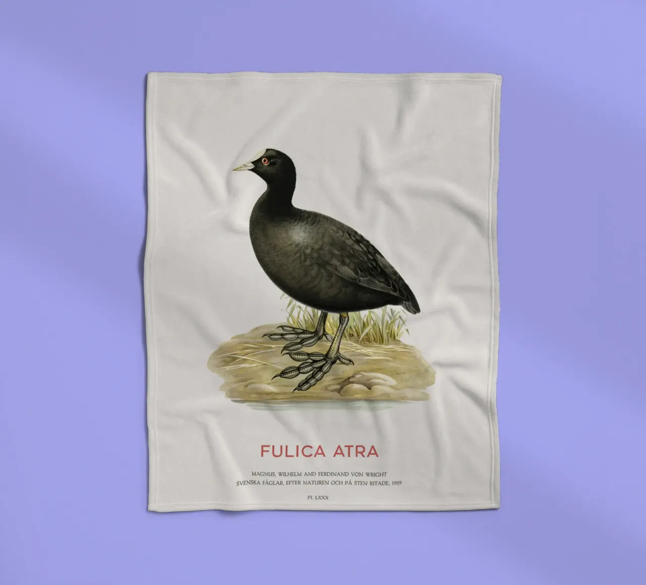 Blässhuhn oder Fulica atra Fleecedecke von Vintagrafica