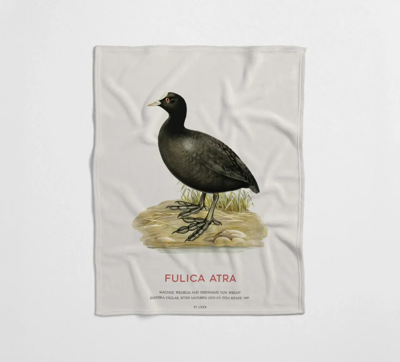 Blässhuhn oder Fulica atra Fleecedecke von Vintagrafica