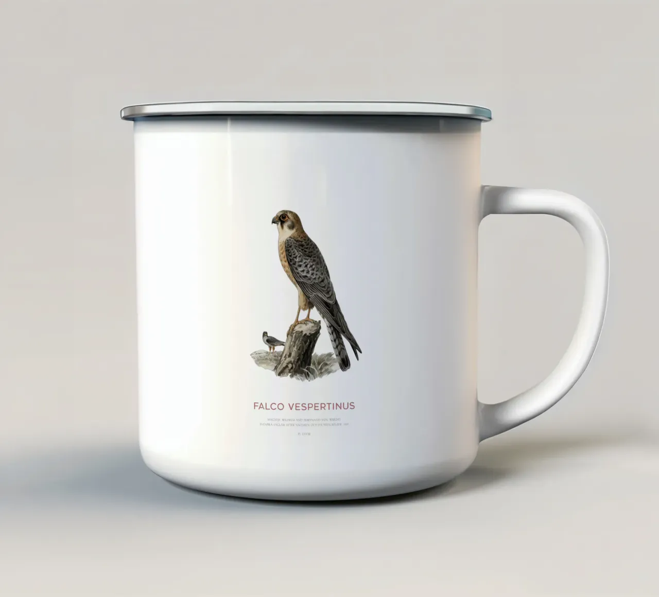 Falco dai piedi rossi o Falco vespertinus tazza in smalto da Vintagrafica