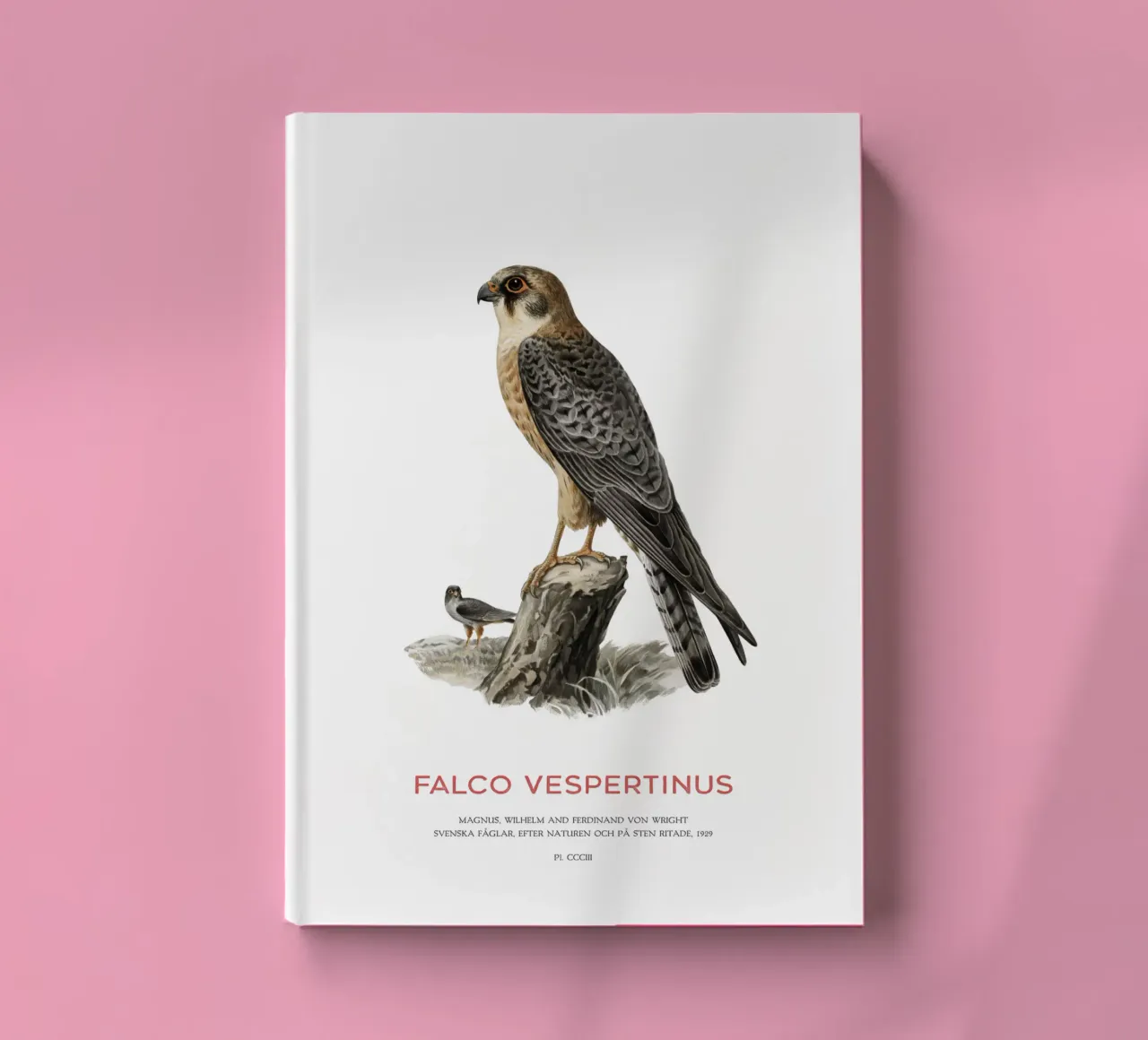 Red-footed falcon or Falco vespertinus notebook by Vintagrafica
