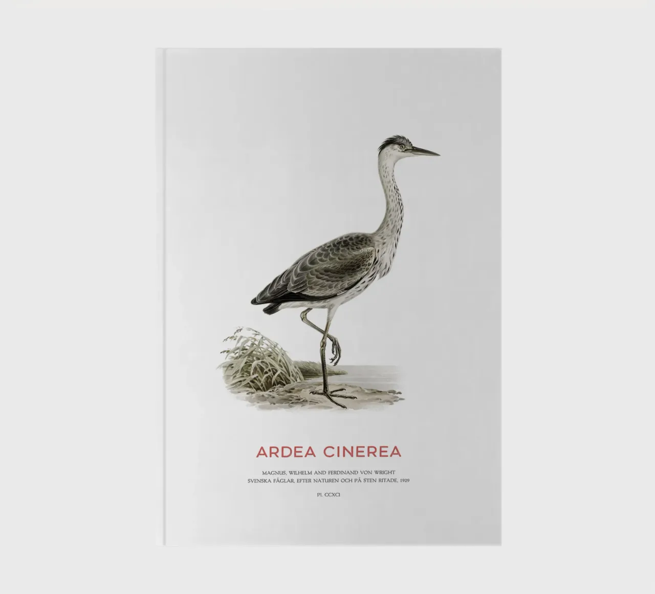 Grey heron or Ardea cinerea notebook by Vintagrafica