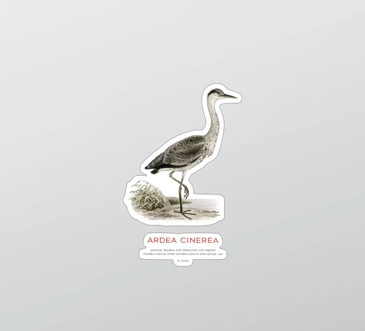 Graureiher oder Ardea cinerea Sticker von Vintagrafica