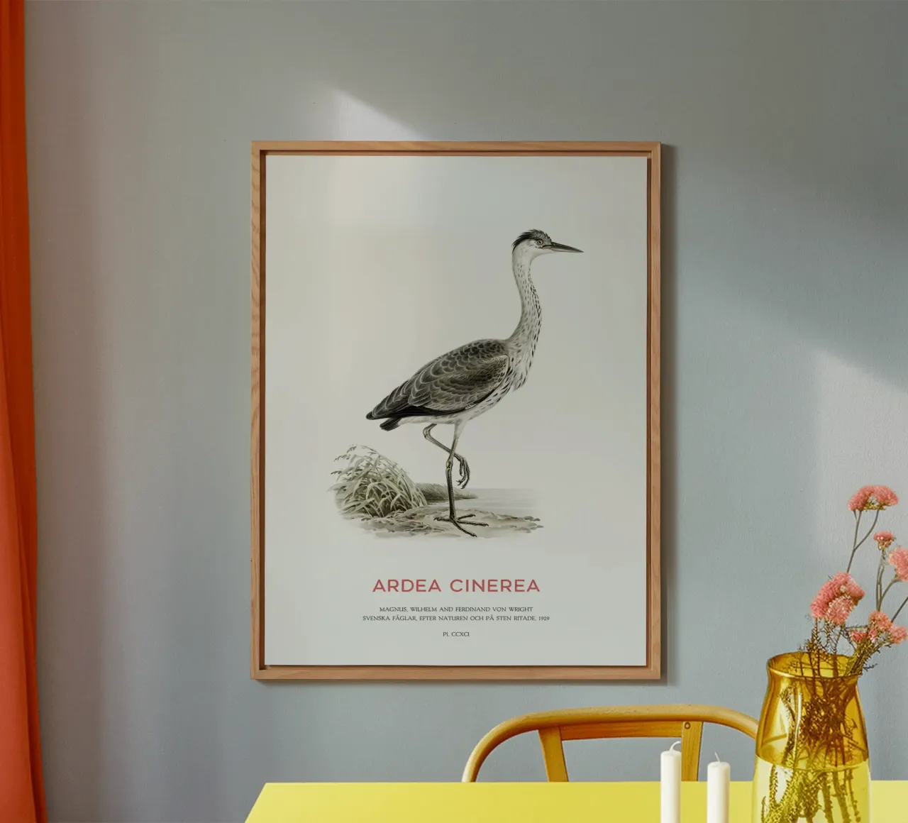 Blauwe reiger of Ardea cinerea forex-plaat van Vintagrafica