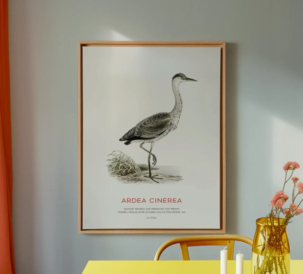 Blauwe reiger of Ardea cinerea canvas van Vintagrafica