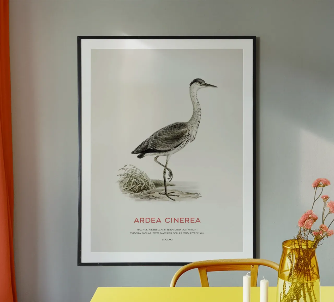 Graureiher oder Ardea cinerea Hahnemühle von Vintagrafica
