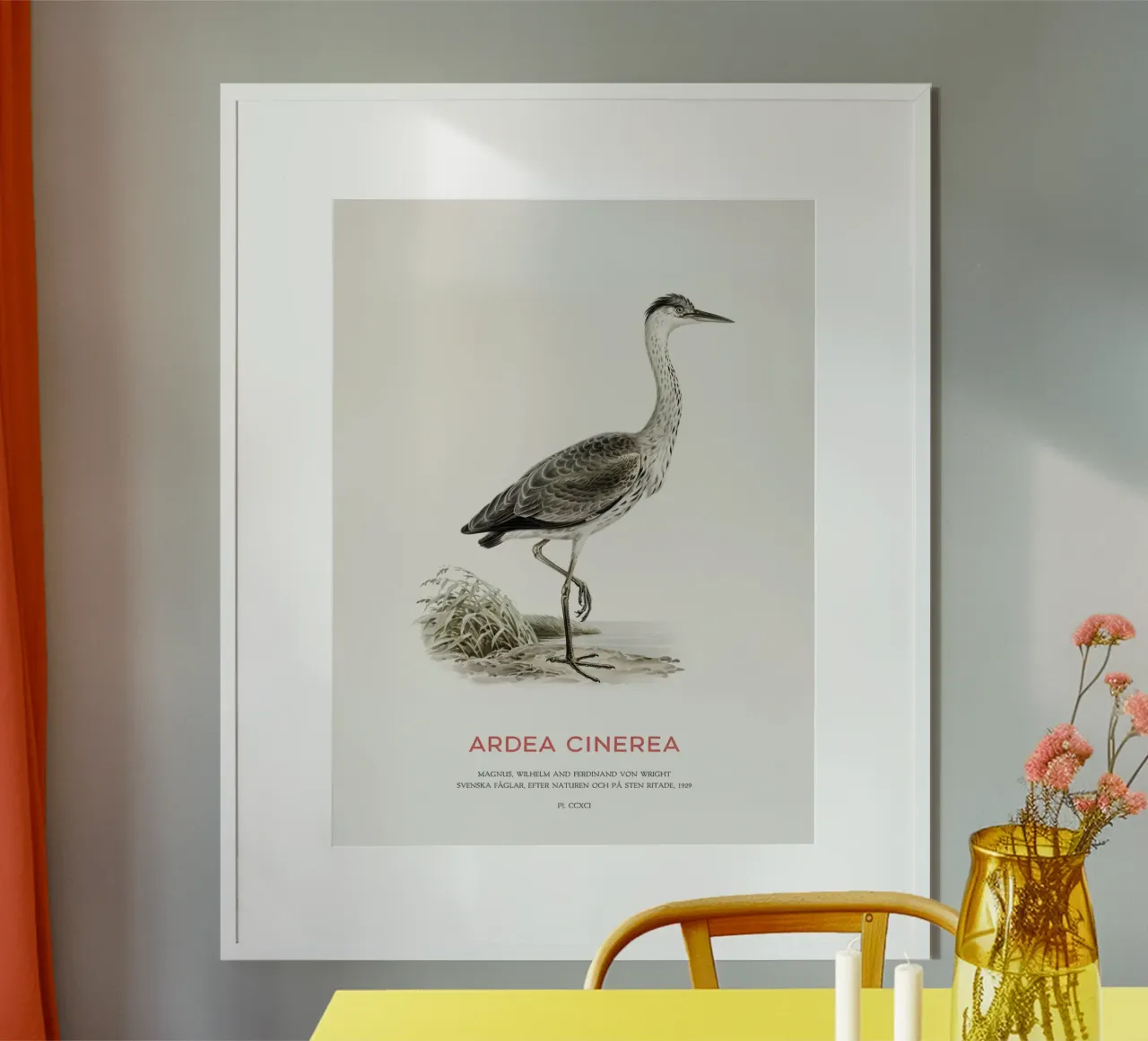 Graureiher oder Ardea cinerea Hahnemühle von Vintagrafica