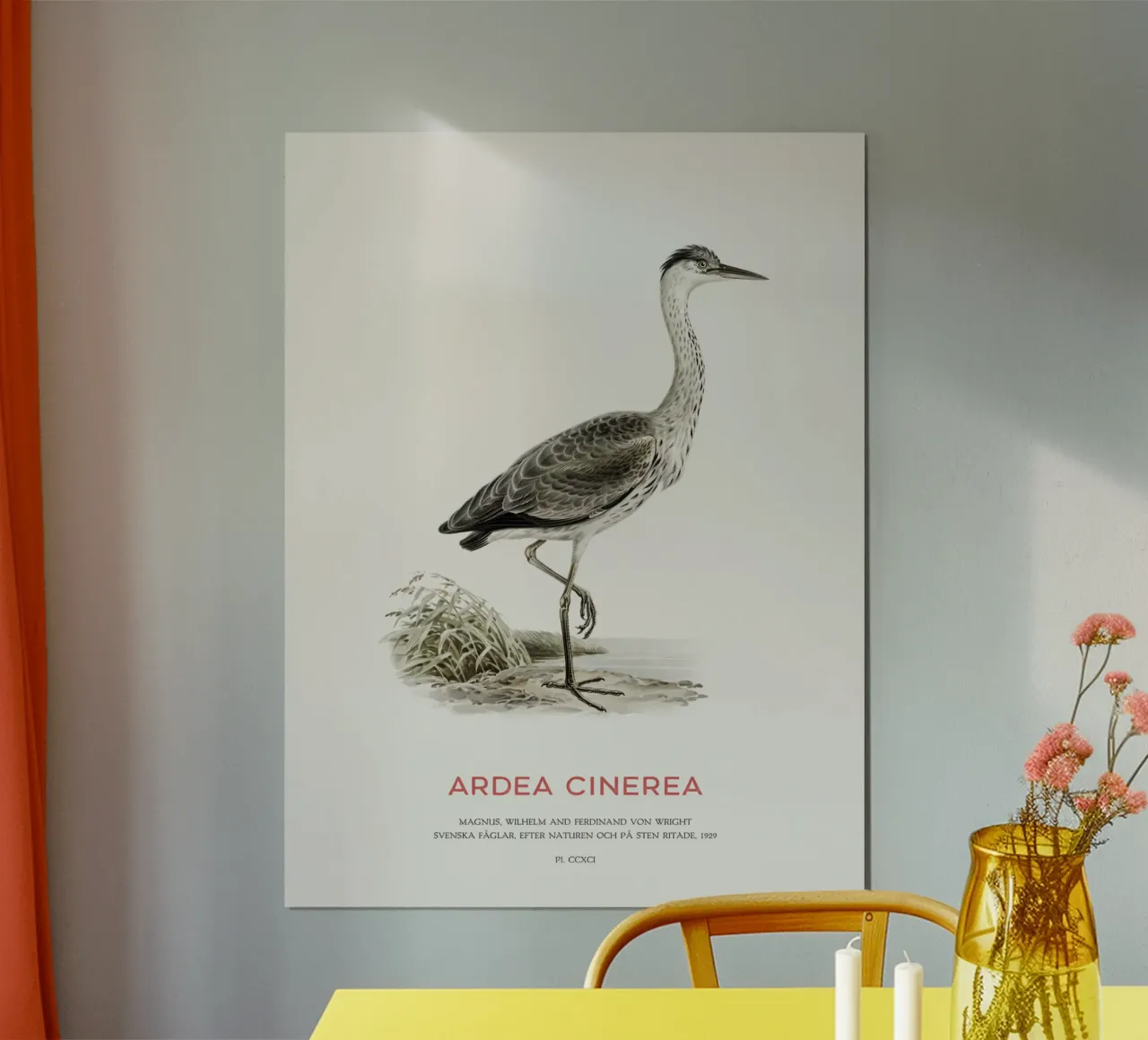 Graureiher oder Ardea cinerea Hahnemühle von Vintagrafica
