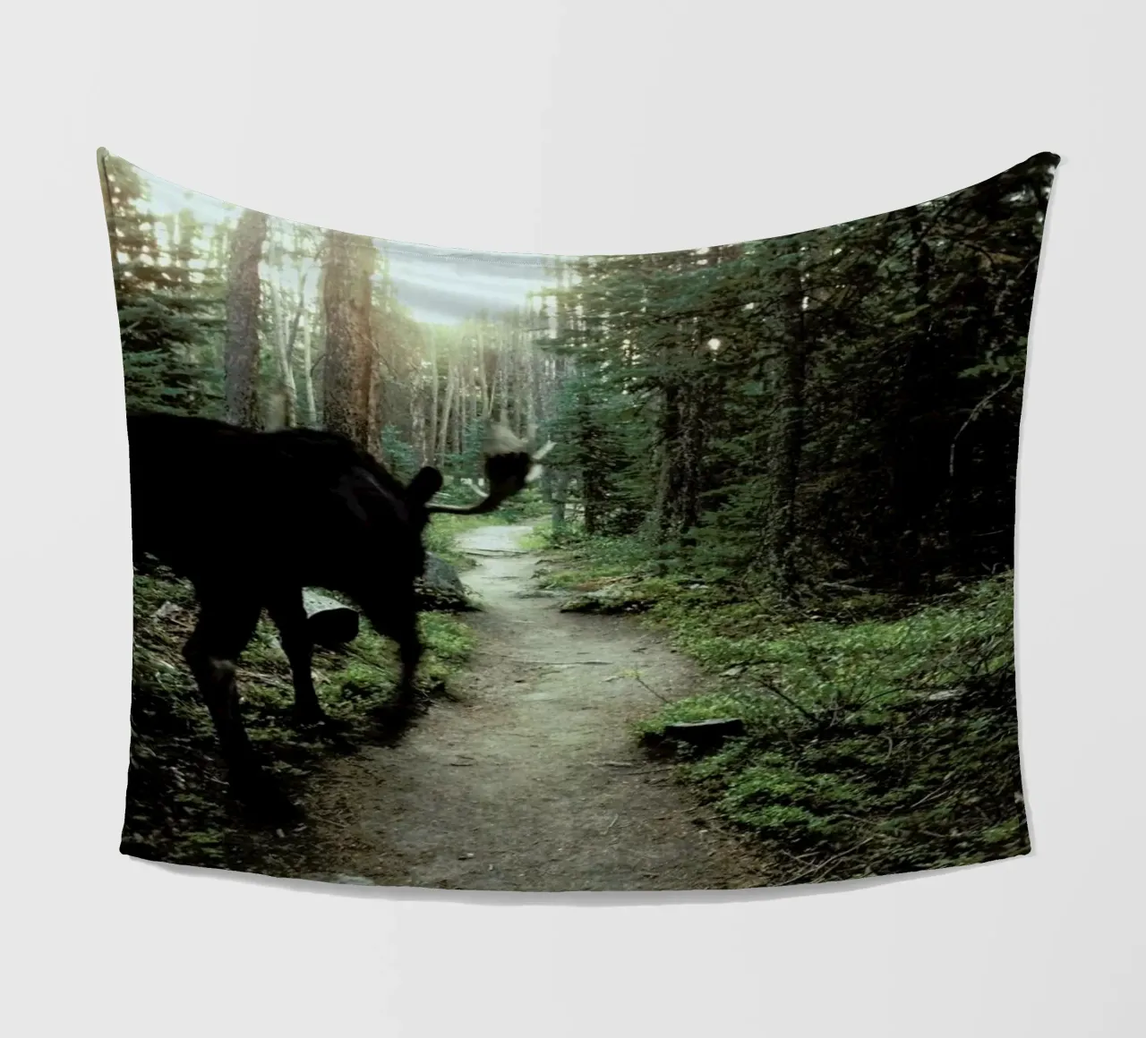 Trail Walking Moose coperta in pile da Kevin Russ