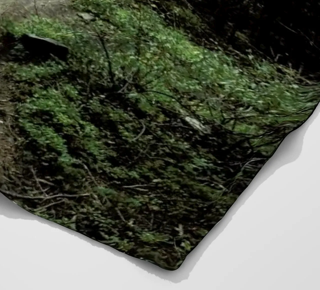 Trail Walking Moose coperta in pile da Kevin Russ