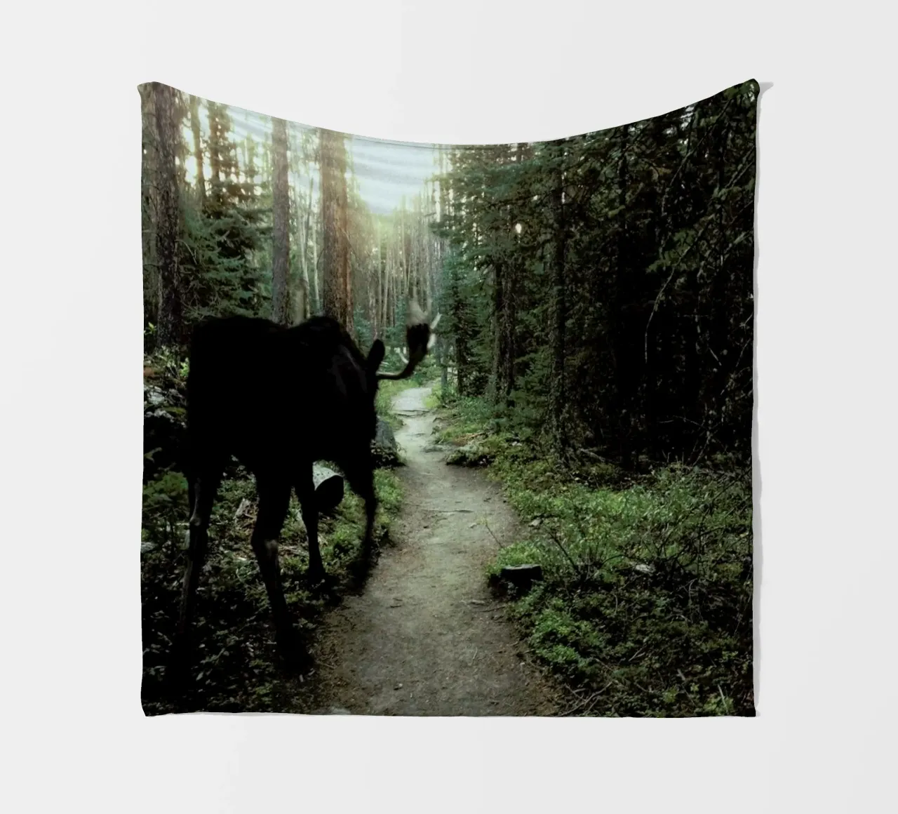 Trail Walking Moose coperta in pile da Kevin Russ