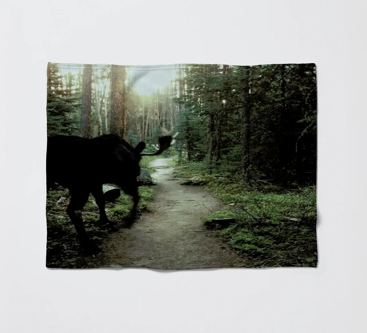 Trail Walking Moose coperta in pile da Kevin Russ