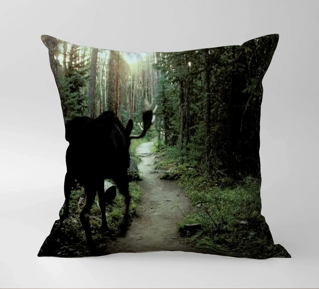 Trail Walking Moose cuscino da Kevin Russ