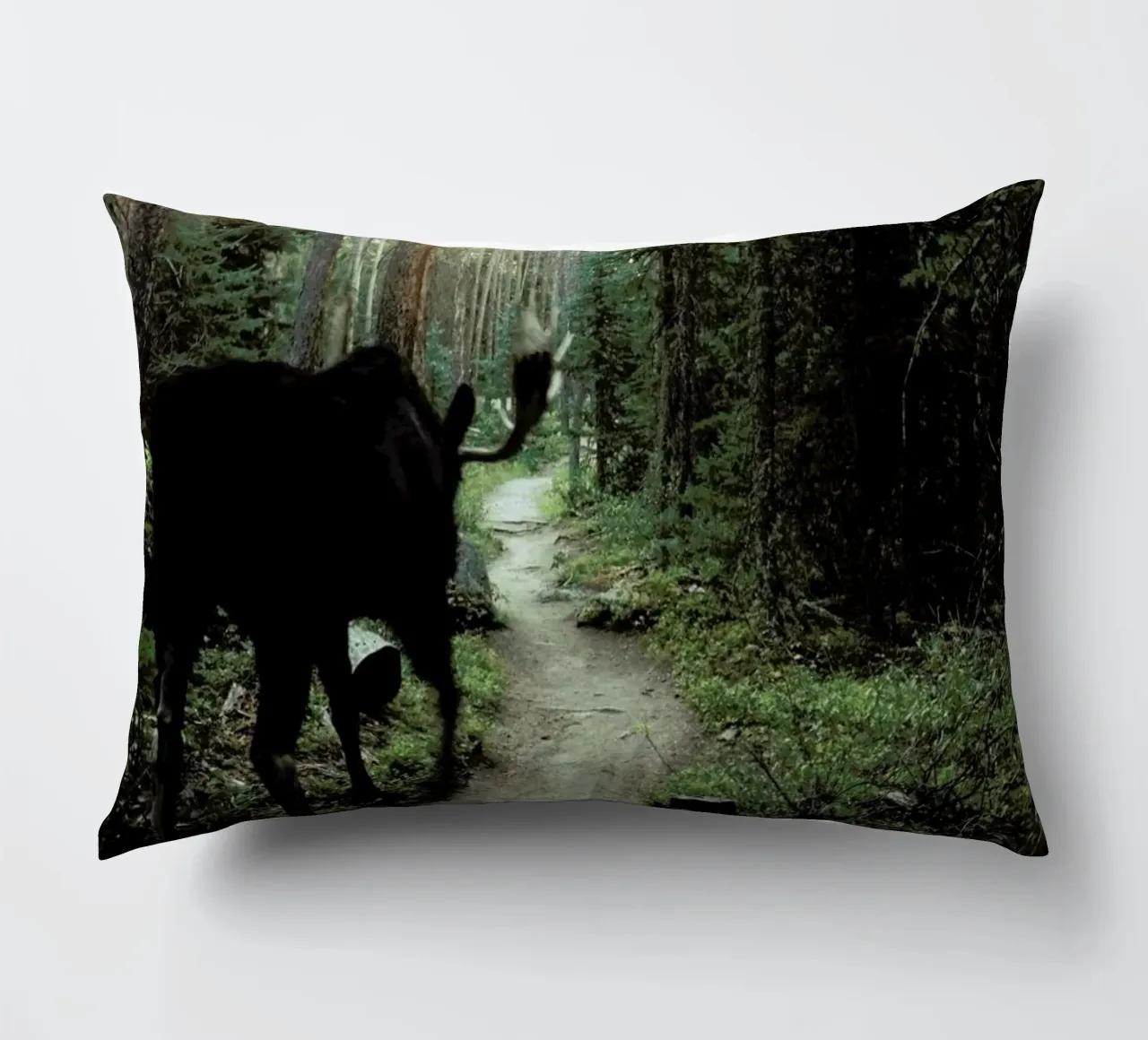 Trail Walking Moose cuscino da Kevin Russ