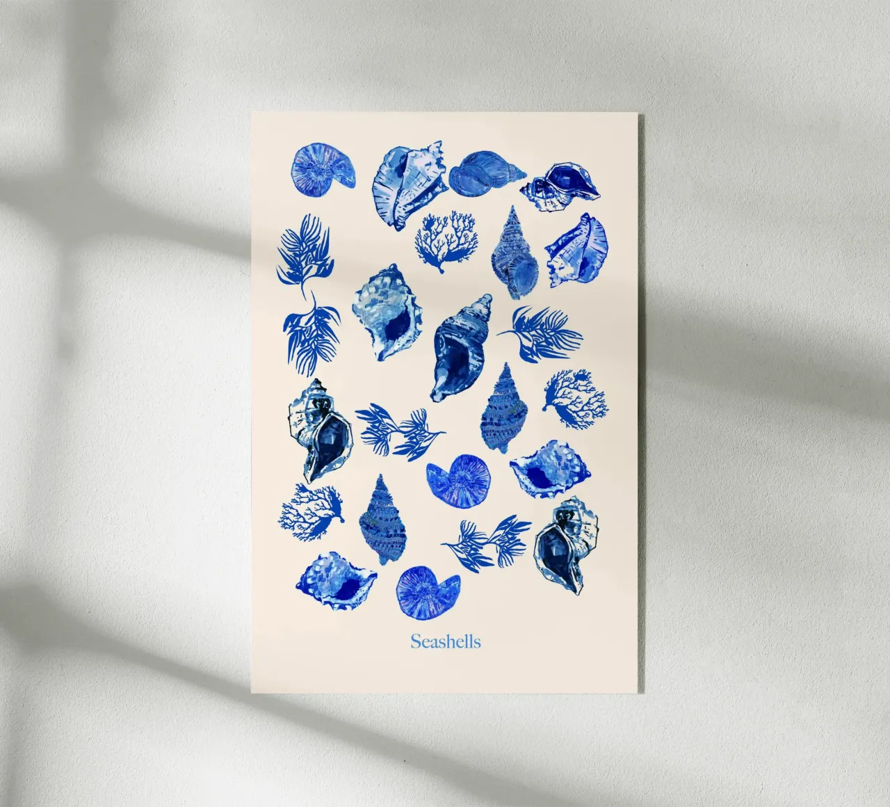 Poster conchiglie plexiglass da Cartissi