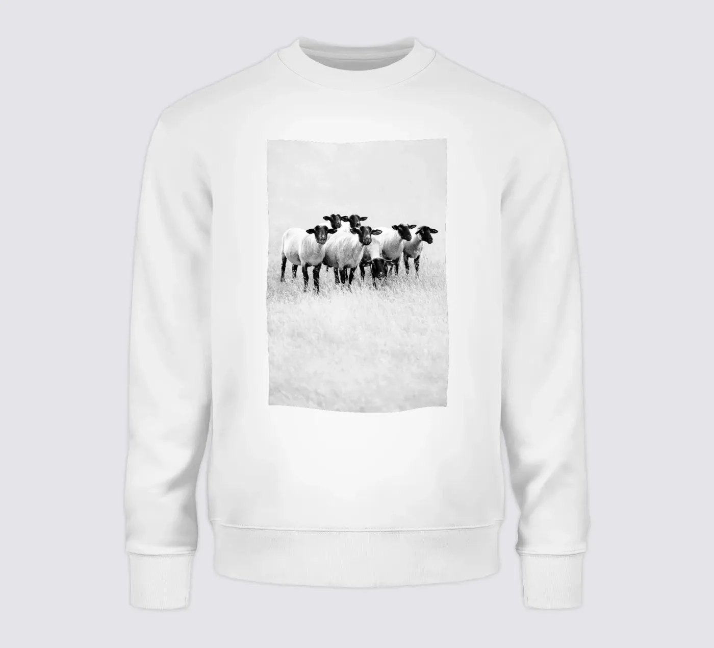 Pecora nera felpa da Amy & Kurt