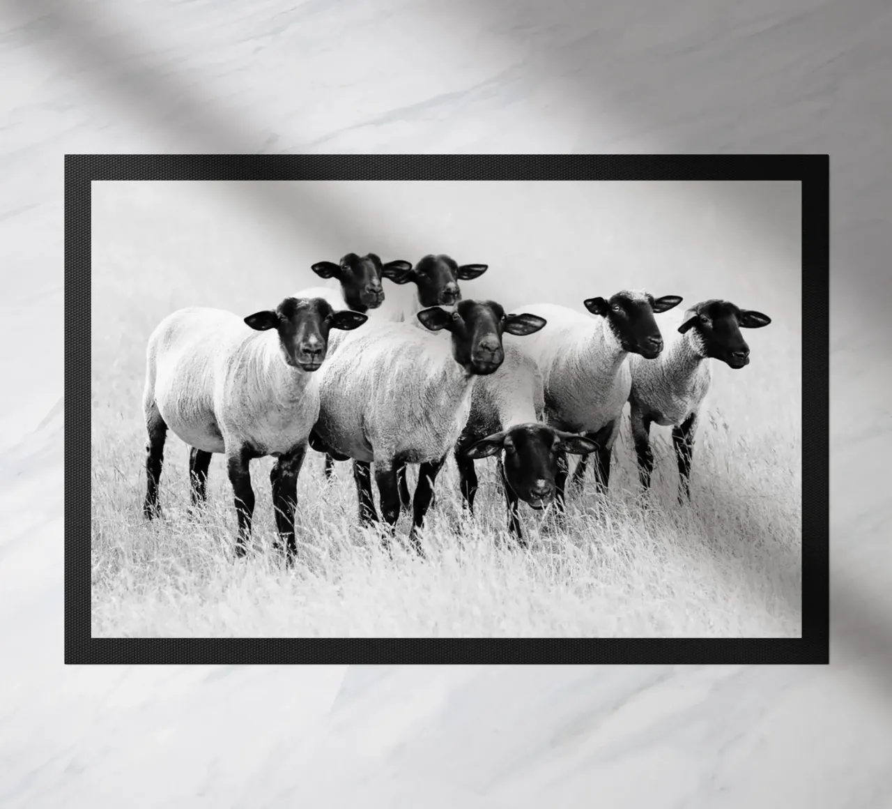 Pecora nera zerbino da Amy & Kurt