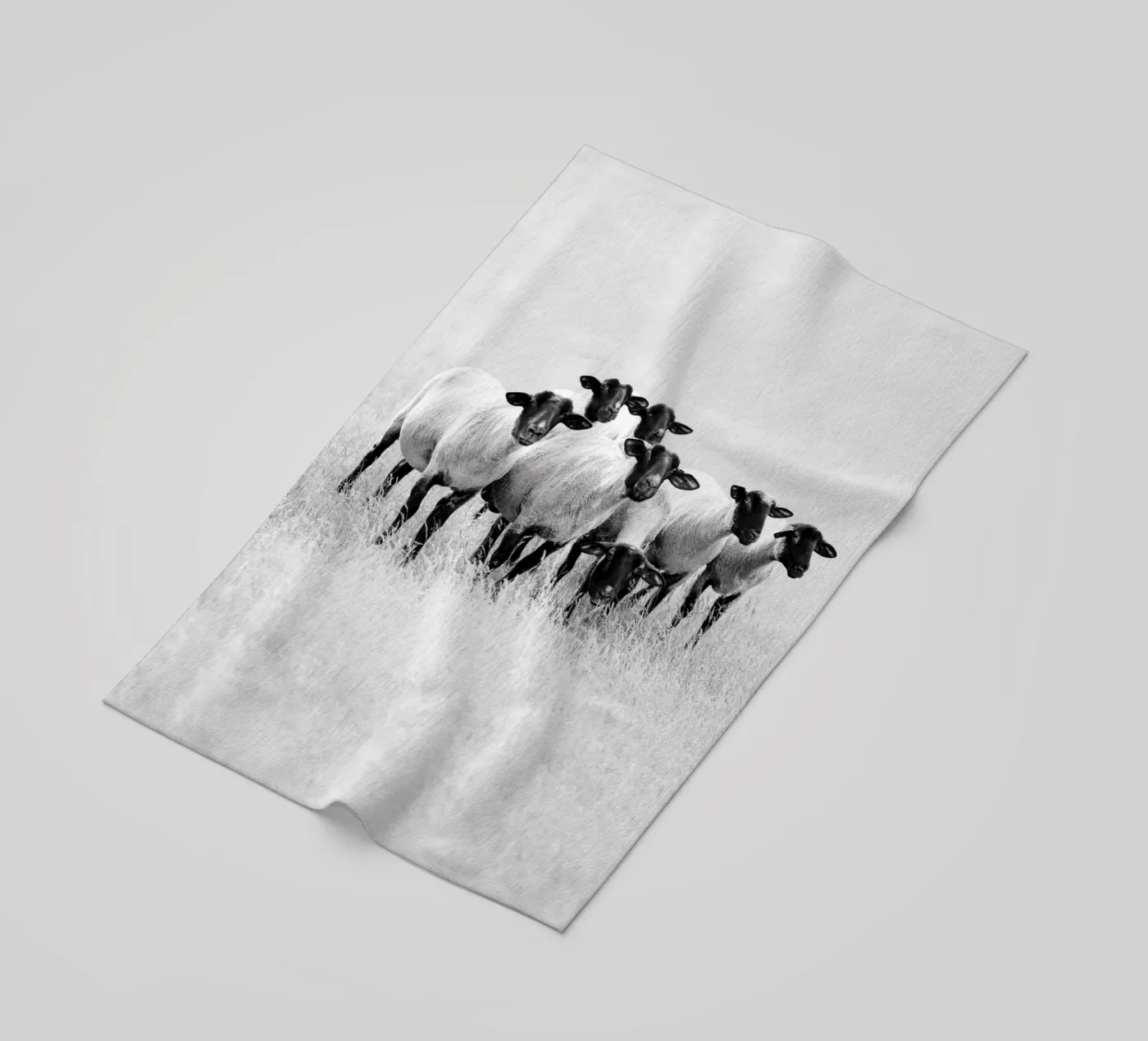 Pecora nera telo mare da Amy & Kurt