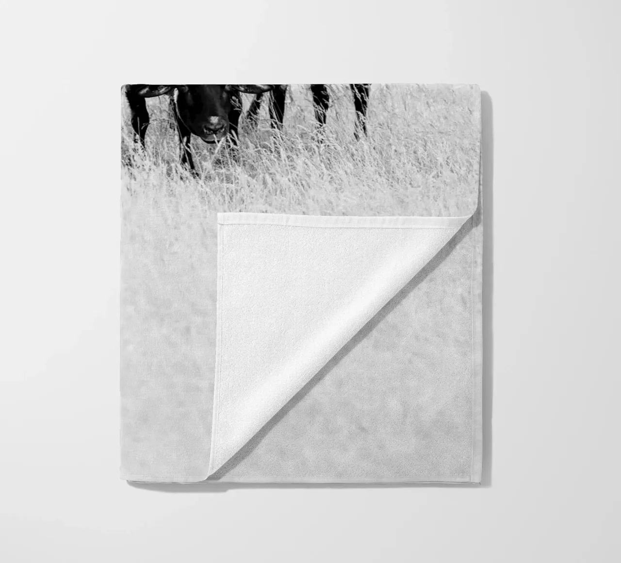 Pecora nera telo mare da Amy & Kurt