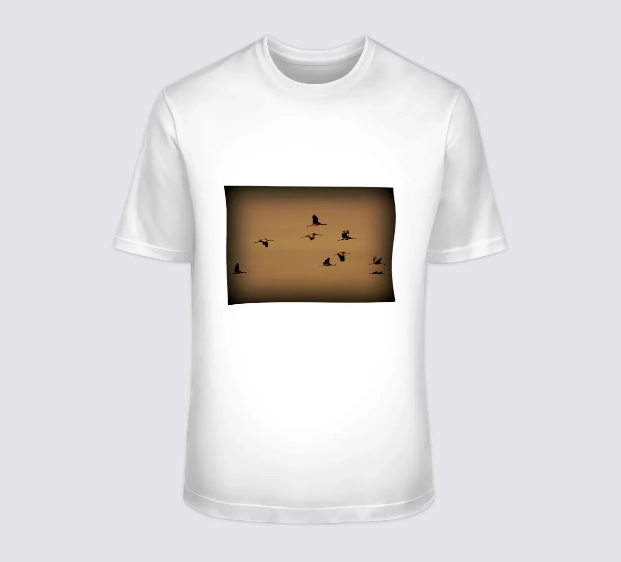 FAA55 t-shirt by Thierry vobmann photography
