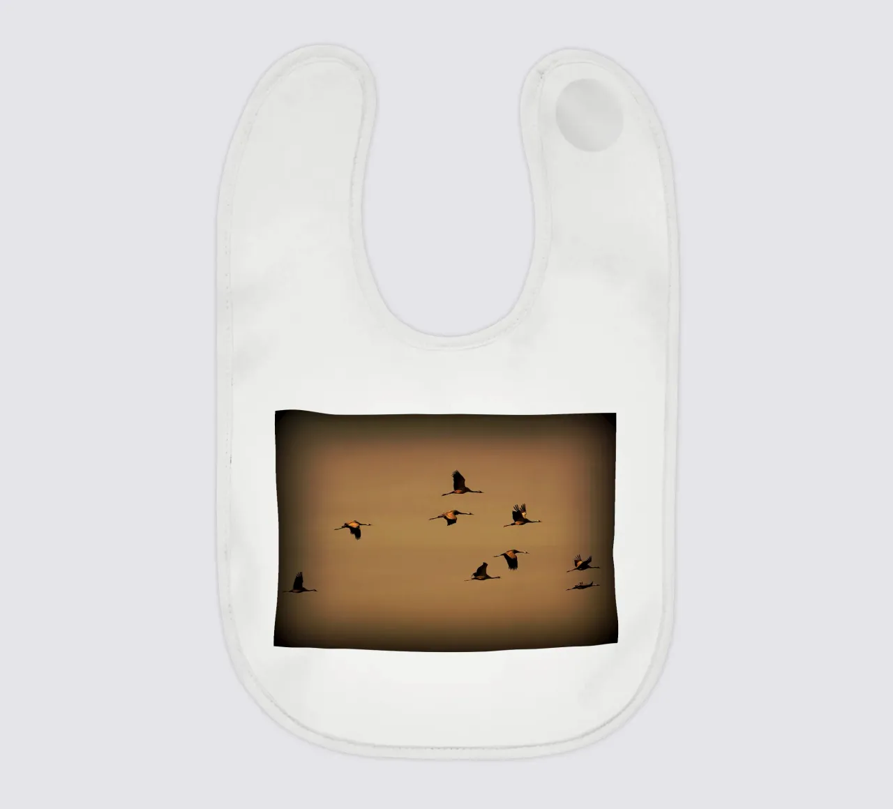 FAA55 bavaglino da Thierry vobmann photography