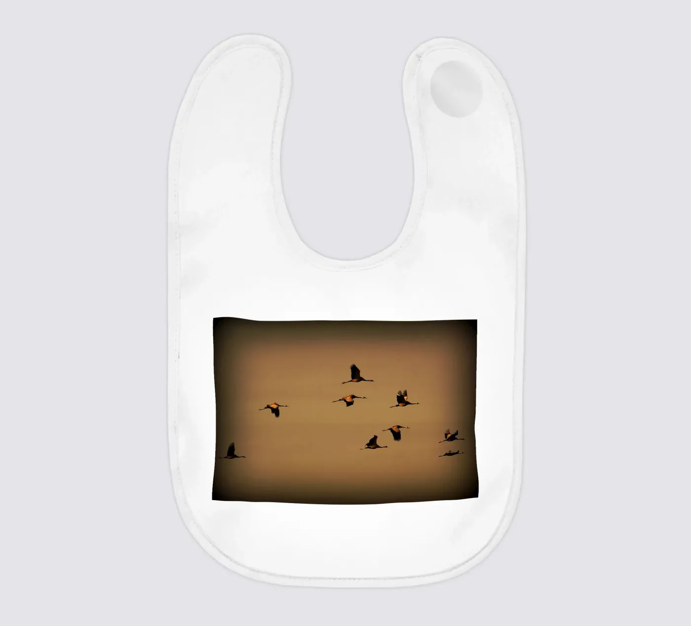 FAA55 bavaglino da Thierry vobmann photography