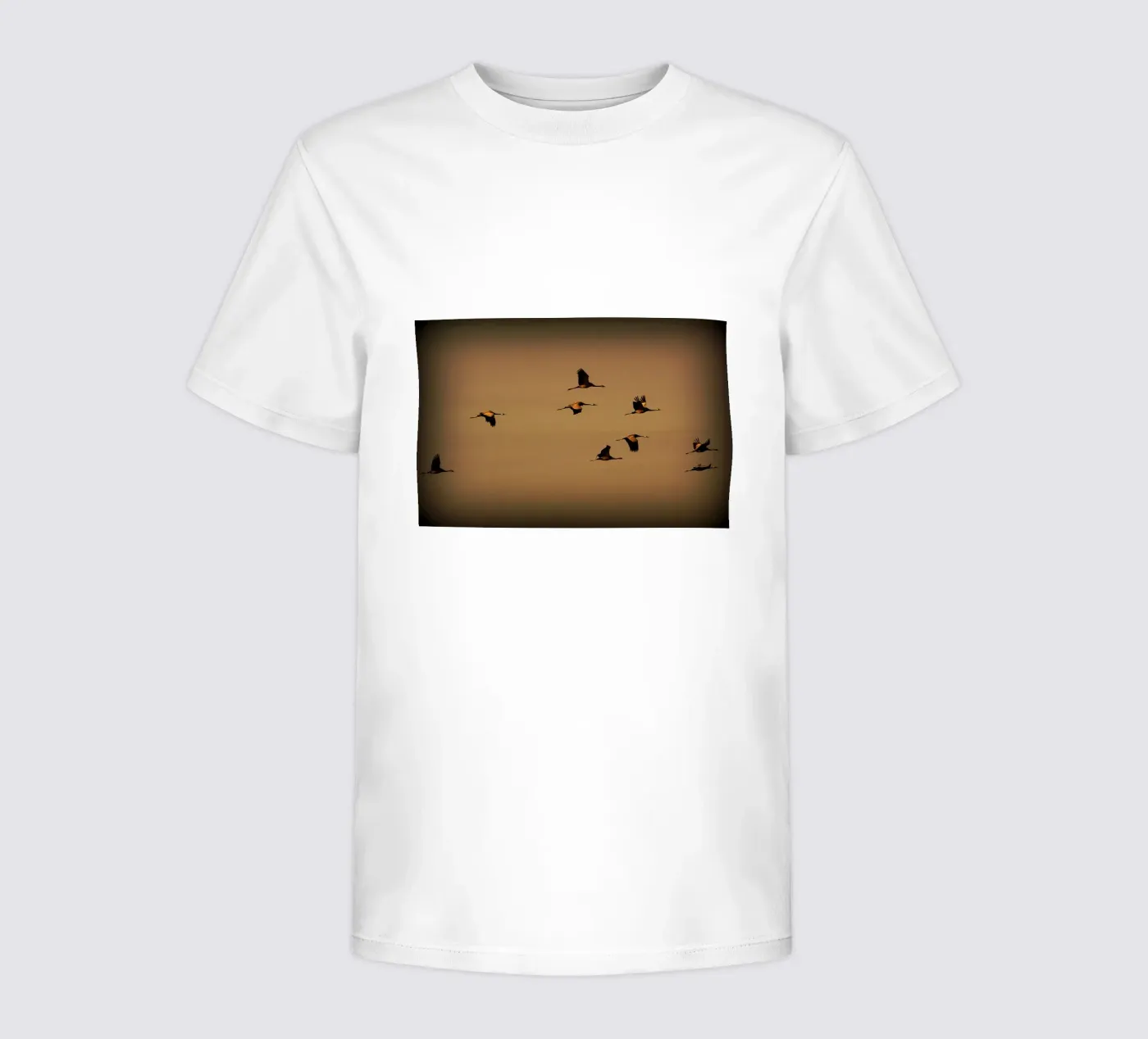 FAA55 t-shirt bambini da Thierry vobmann photography