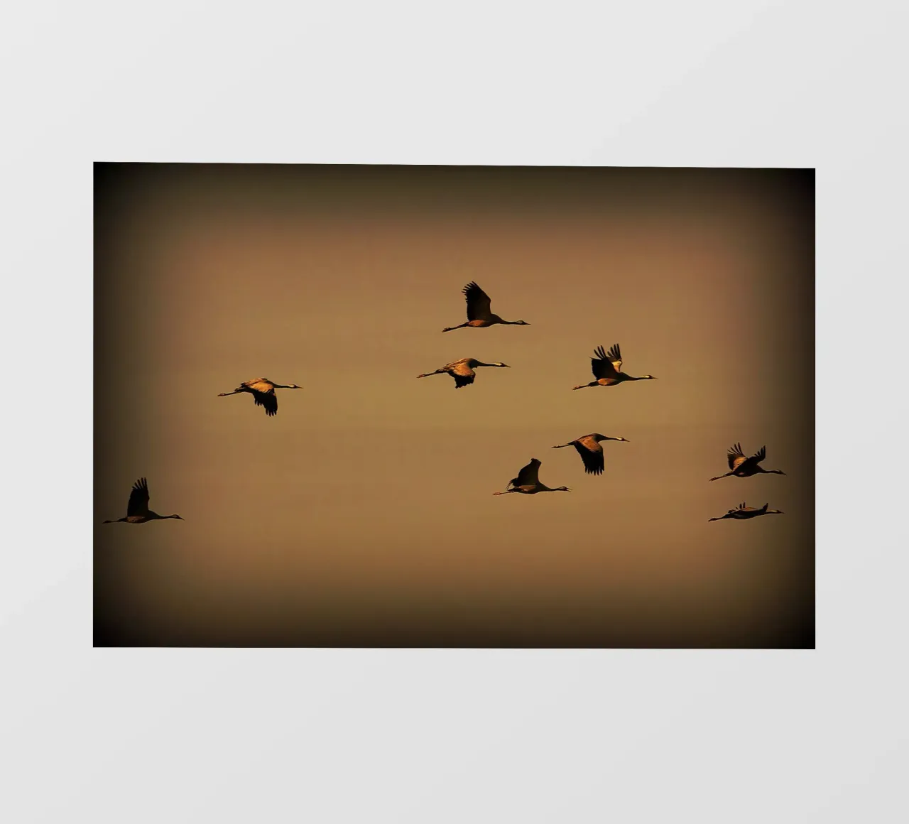 FAA55 fotobehang van Thierry vobmann photography