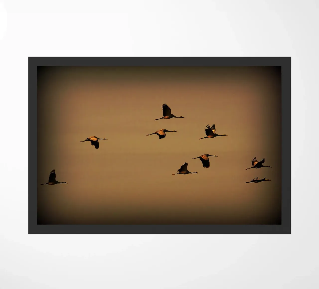 FAA55 deurmat van Thierry vobmann photography