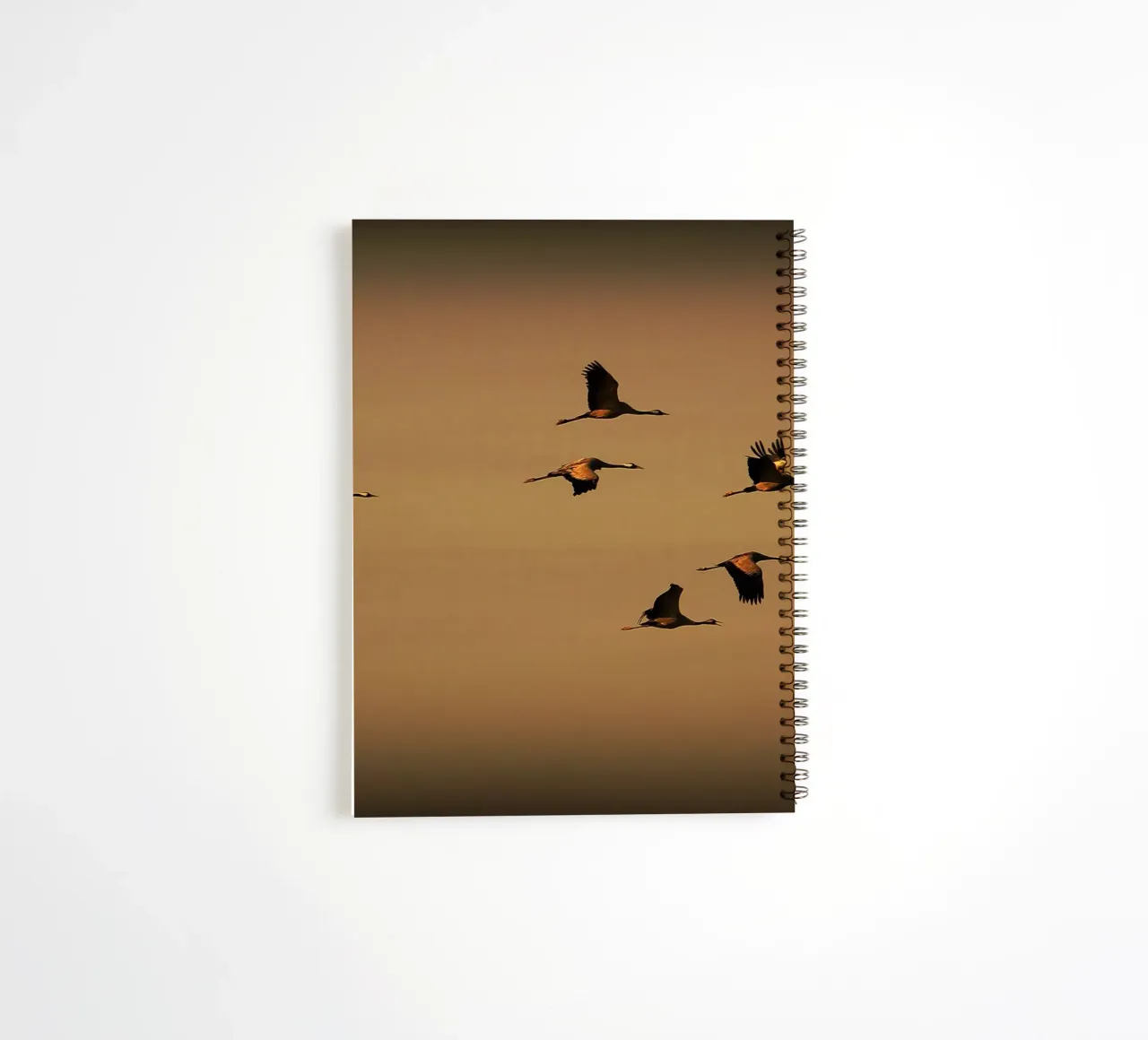 FAA55 spiral notebook by Thierry vobmann photography