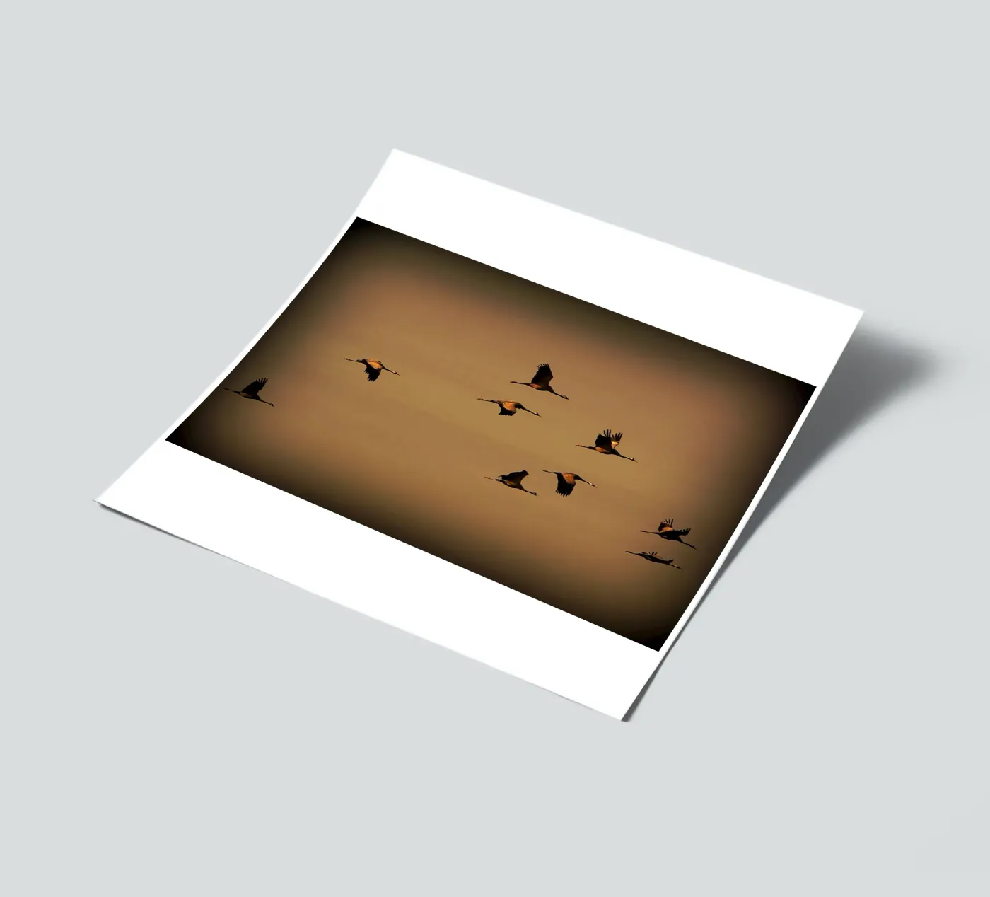 FAA55 sticker sheet by Thierry vobmann photography