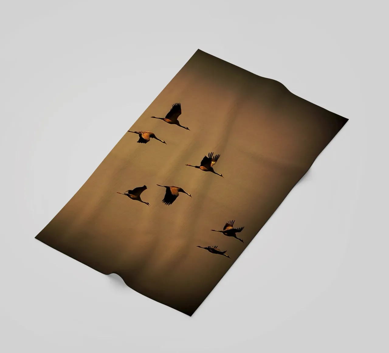 FAA55 telo mare da Thierry vobmann photography