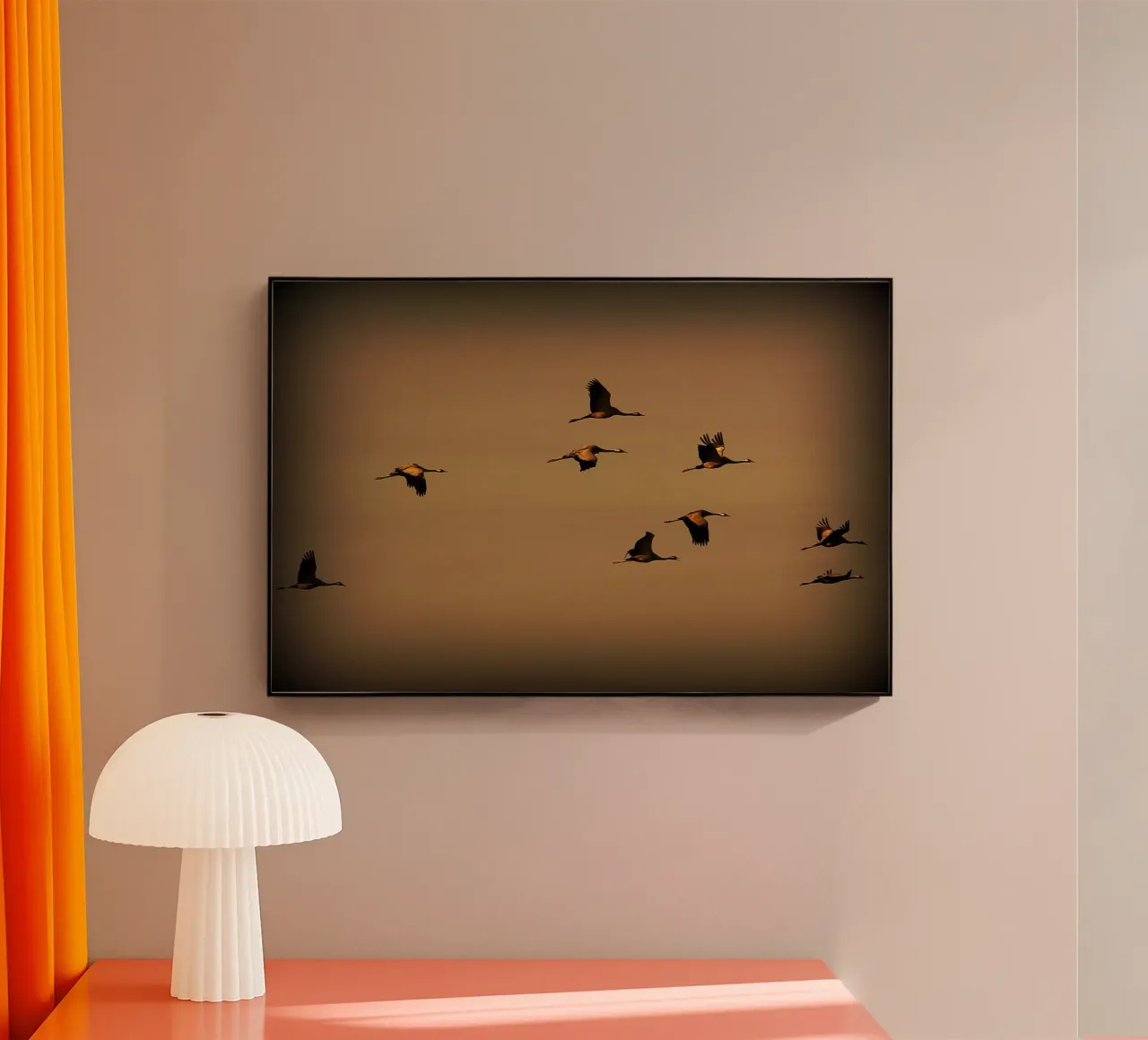 FAA55 plexiglass da Thierry vobmann photography