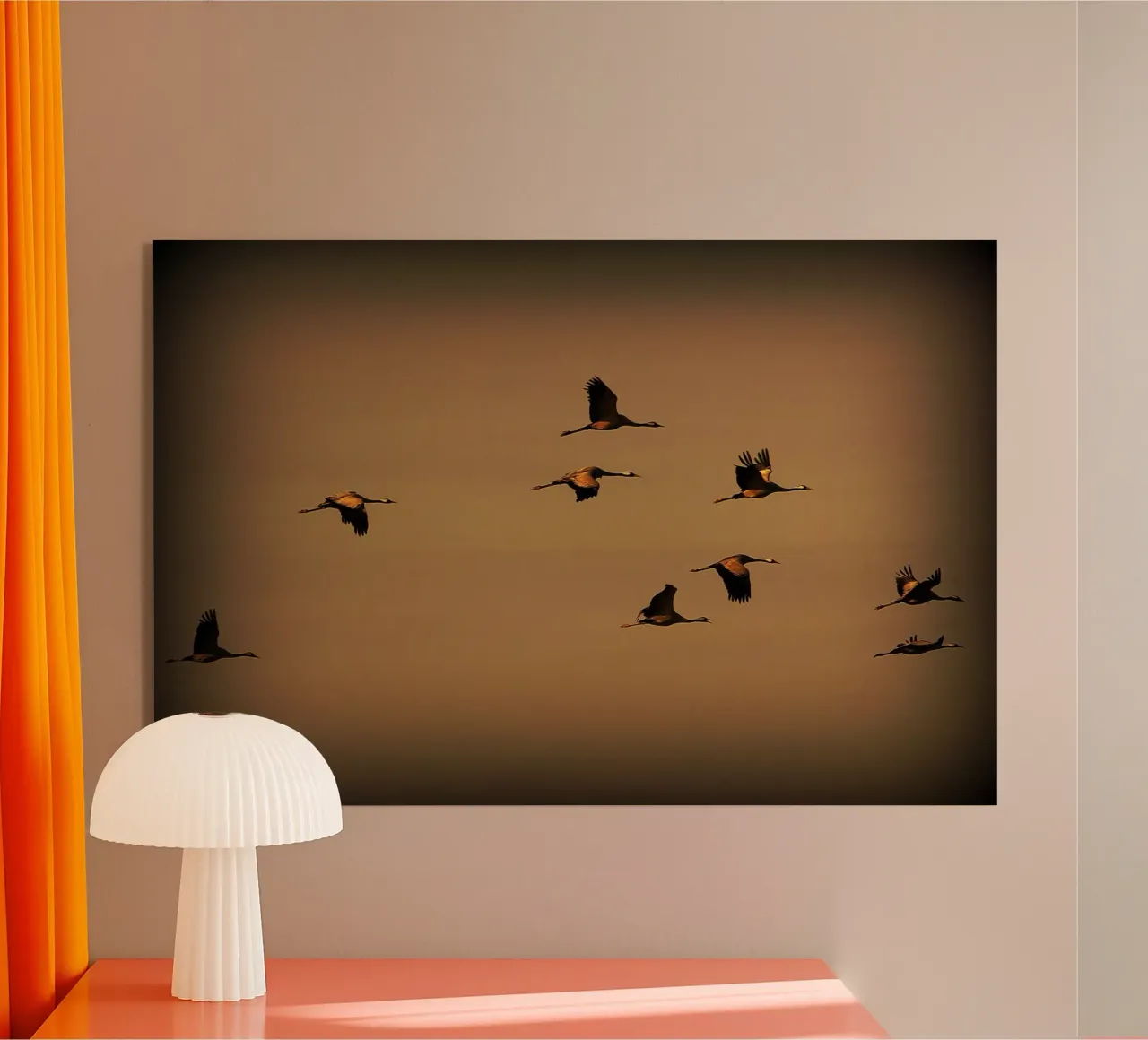 FAA55 plexiglass da Thierry vobmann photography