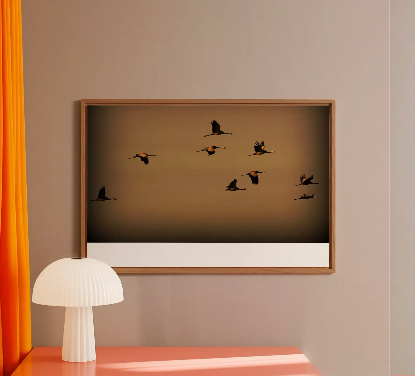 FAA55 forex plate by Thierry vobmann photography