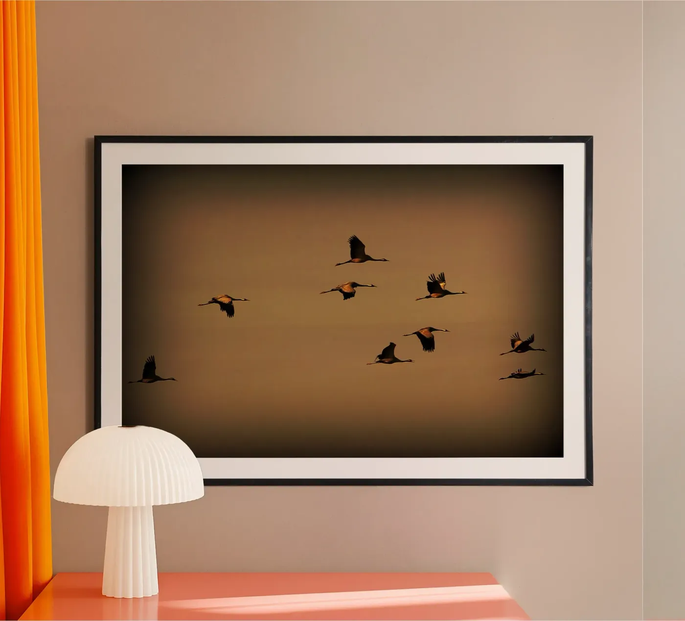 FAA55 poster da Thierry vobmann photography