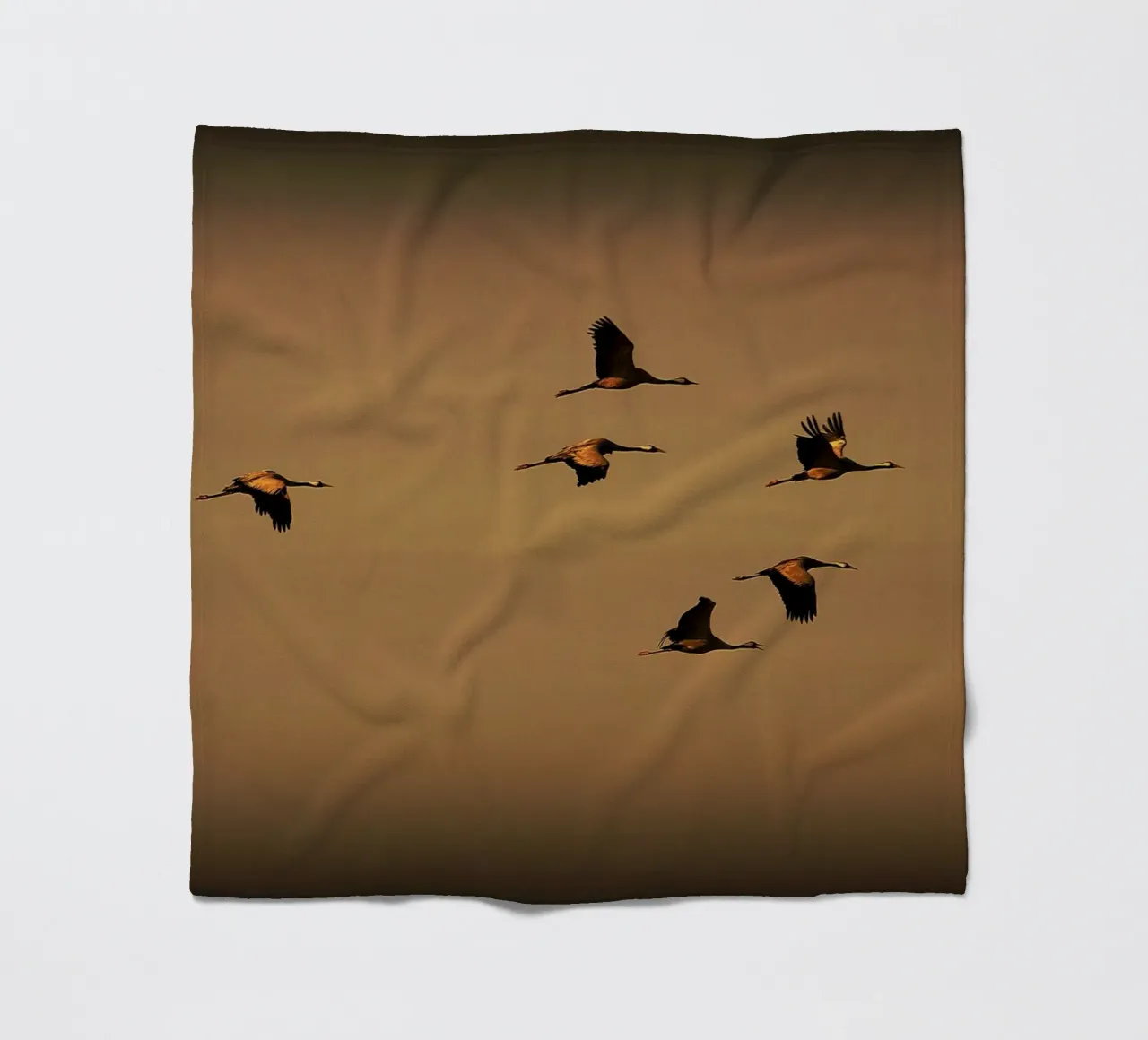 FAA55 coperta in pile da Thierry vobmann photography