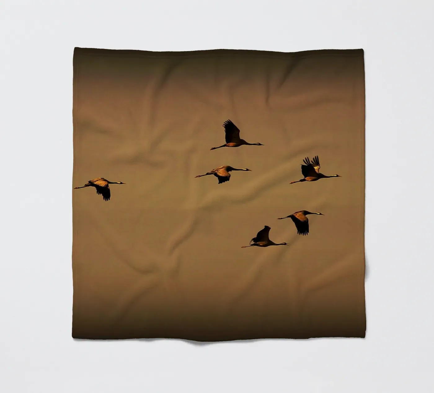 FAA55 fleece blanket by Thierry vobmann photography