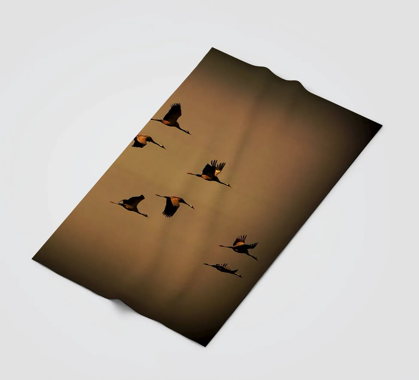 FAA55 fleece blanket by Thierry vobmann photography